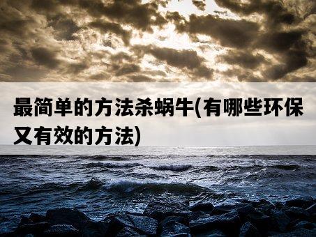最簡單的方法殺蝸牛，有哪些環保又有效的方法-圖1