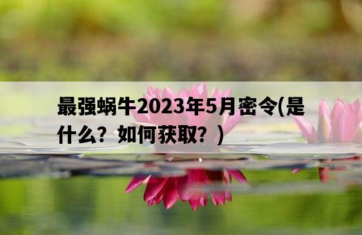 最強蝸牛2023年5月密令，是什么？如何獲取？-圖1