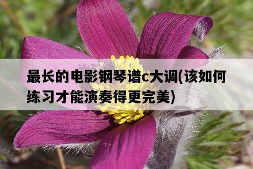 最長的電影鋼琴譜c大調，該如何練習才能演奏得更完美-圖1