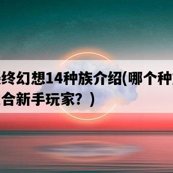 最終幻想14種族介紹，哪個種族適合新手玩家？-圖1