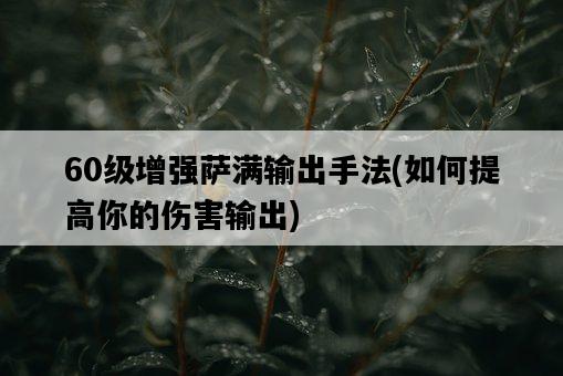 60級增強薩滿輸出手法，如何提高你的傷害輸出-圖1
