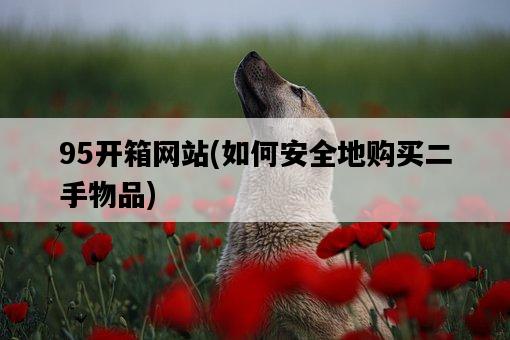 95開箱網站，如何安全地購買二手物品-圖1