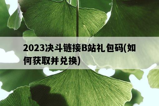 2023決斗鏈接B站禮包碼，如何獲取并兌換-圖1