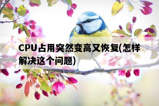 CPU占用突然變高又恢復，怎樣解決這個問題-圖1