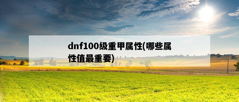 dnf100級重甲屬性，哪些屬性值最重要-圖1