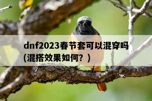 dnf2023春節套可以混穿嗎，混搭效果如何？-圖1