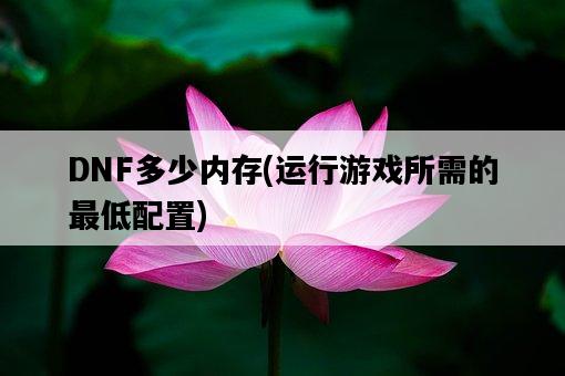 DNF多少內存，運行游戲所需的最低配置-圖1