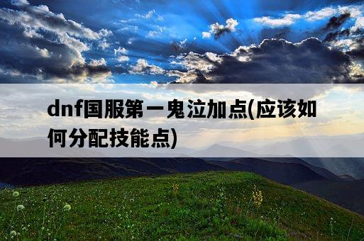 dnf國服第一鬼泣加點，應該如何分配技能點-圖1