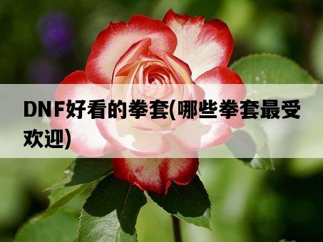 DNF好看的拳套，哪些拳套最受歡迎-圖1