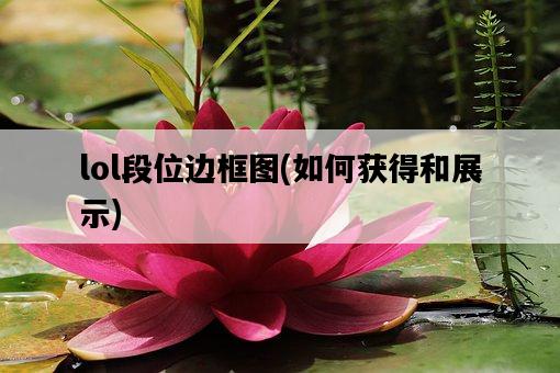 lol段位邊框圖，如何獲得和展示-圖1
