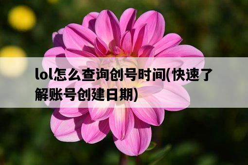 lol怎么查詢創號時間，快速了解賬號創建日期-圖1