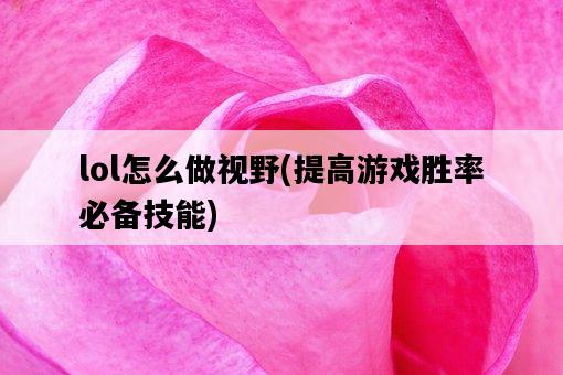 lol怎么做視野，提高游戲勝率必備技能-圖1