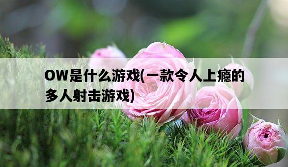 OW是什么游戲，一款令人上癮的多人射擊游戲-圖1