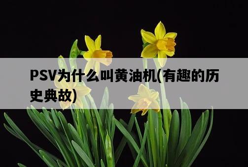PSV為什么叫黃油機，有趣的歷史典故-圖1