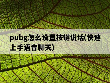 pubg怎么設置按鍵說話，快速上手語音聊天-圖1