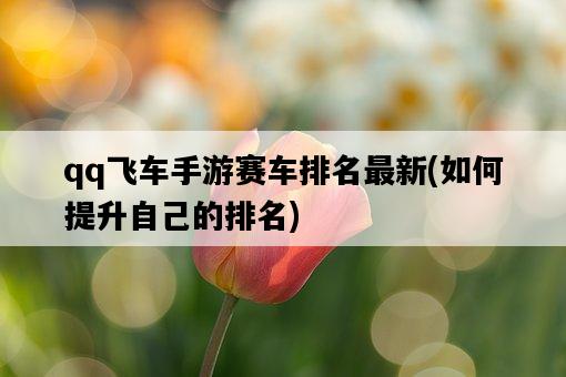 qq飛車手游賽車排名最新，如何提升自己的排名-圖1