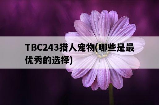 TBC243獵人寵物，哪些是最優秀的選擇-圖1