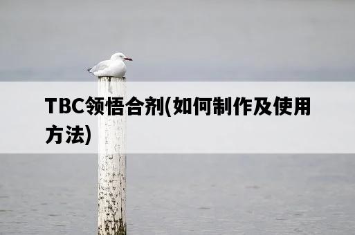 TBC領悟合劑，如何制作及使用方法-圖1