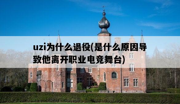 uzi為什么退役，是什么原因導致他離開職業電競舞臺-圖1