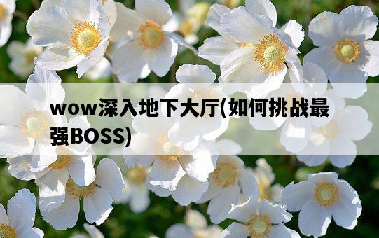 wow深入地下大廳，如何挑戰最強BOSS-圖1