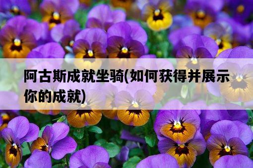 阿古斯成就坐騎，如何獲得并展示你的成就-圖1