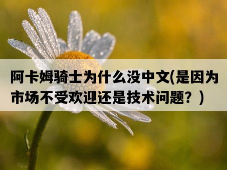 阿卡姆騎士為什么沒中文，是因為市場不受歡迎還是技術問題？-圖1