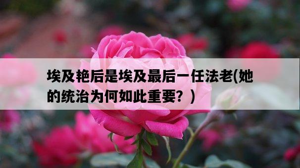 埃及艷后是埃及最后一任法老，她的統治為何如此重要？-圖1
