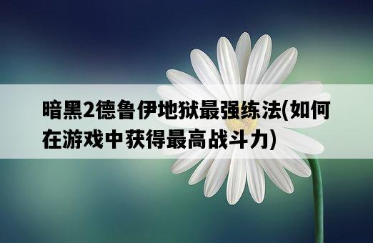 暗黑2德魯伊地獄最強練法，如何在游戲中獲得最高戰斗力-圖1