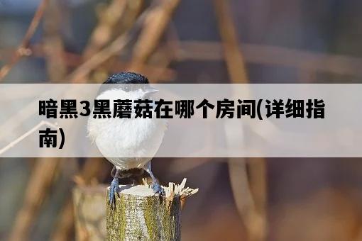 暗黑3黑蘑菇在哪個房間，詳細指南-圖1