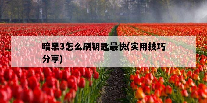 暗黑3怎么刷鑰匙最快，實用技巧分享-圖1