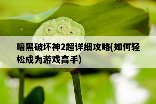 暗黑破壞神2超詳細攻略，如何輕松成為游戲高手-圖1