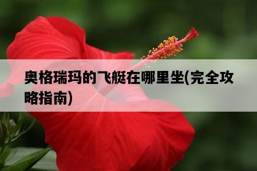 奧格瑞瑪的飛艇在哪里坐，完全攻略指南-圖1