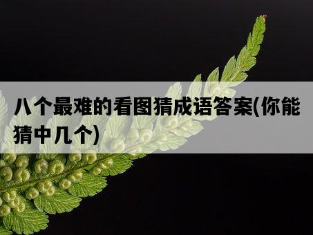 八個最難的看圖猜成語答案，你能猜中幾個-圖1