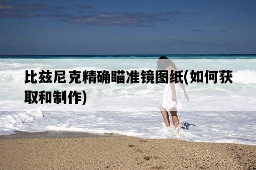 比茲尼克精確瞄準鏡圖紙，如何獲取和制作-圖1