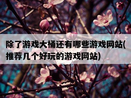 除了游戲大桶還有哪些游戲網站，推薦幾個好玩的游戲網站-圖1