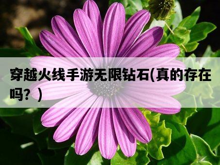 穿越火線手游無限鉆石，真的存在嗎？-圖1