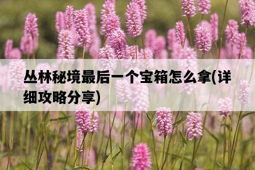 叢林秘境最后一個寶箱怎么拿，詳細攻略分享-圖1