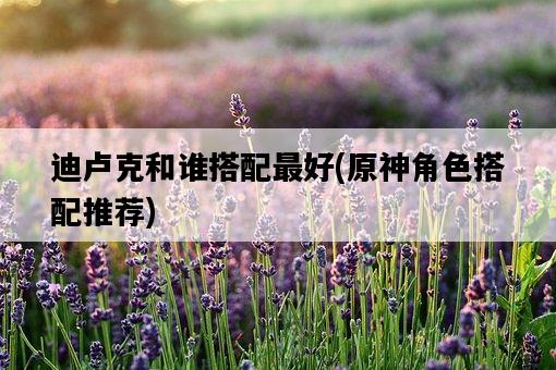 迪盧克和誰搭配最好，原神角色搭配推薦-圖1