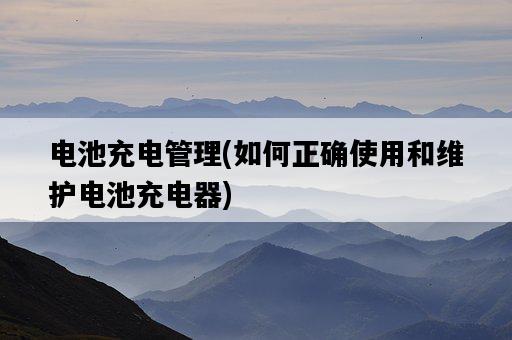 電池充電管理，如何正確使用和維護電池充電器-圖1
