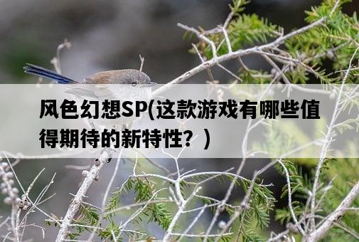 風色幻想SP，這款游戲有哪些值得期待的新特性？-圖1