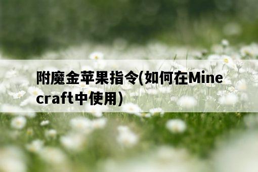 附魔金蘋果指令，如何在Minecraft中使用-圖1