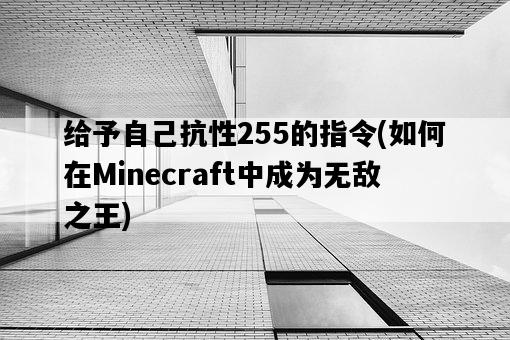 給予自己抗性255的指令，如何在Minecraft中成為無敵之王-圖1