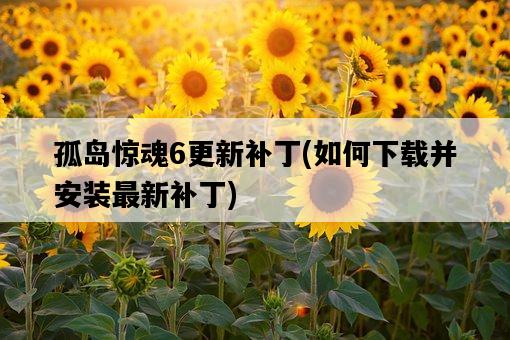 孤島驚魂6更新補丁，如何下載并安裝最新補丁-圖1