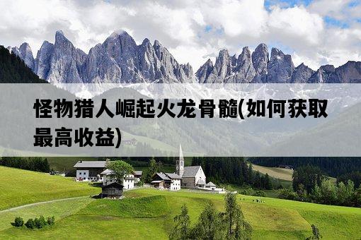 怪物獵人崛起火龍骨髓，如何獲取最高收益-圖1