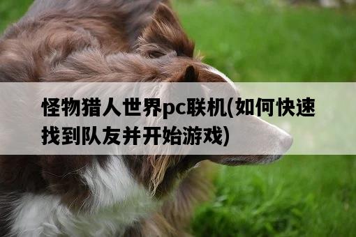 怪物獵人世界pc聯機，如何快速找到隊友并開始游戲-圖1