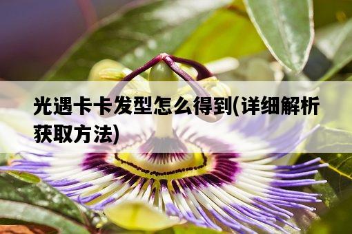光遇卡卡發型怎么得到，詳細解析獲取方法-圖1