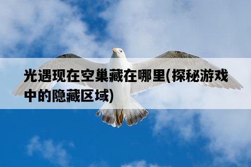 光遇現在空巢藏在哪里，探秘游戲中的隱藏區域-圖1