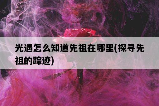 光遇怎么知道先祖在哪里，探尋先祖的蹤跡-圖1