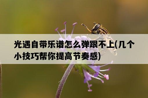 光遇自帶樂譜怎么彈跟不上，幾個小技巧幫你提高節奏感-圖1