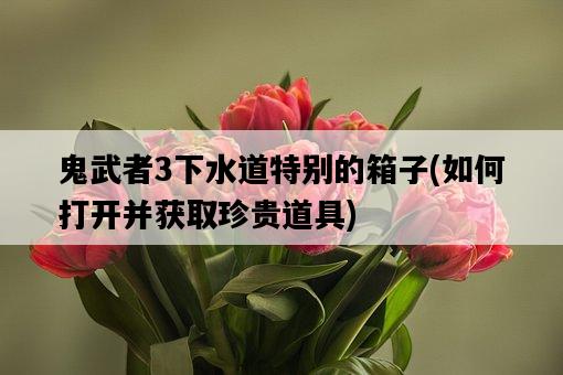 鬼武者3下水道特別的箱子，如何打開并獲取珍貴道具-圖1